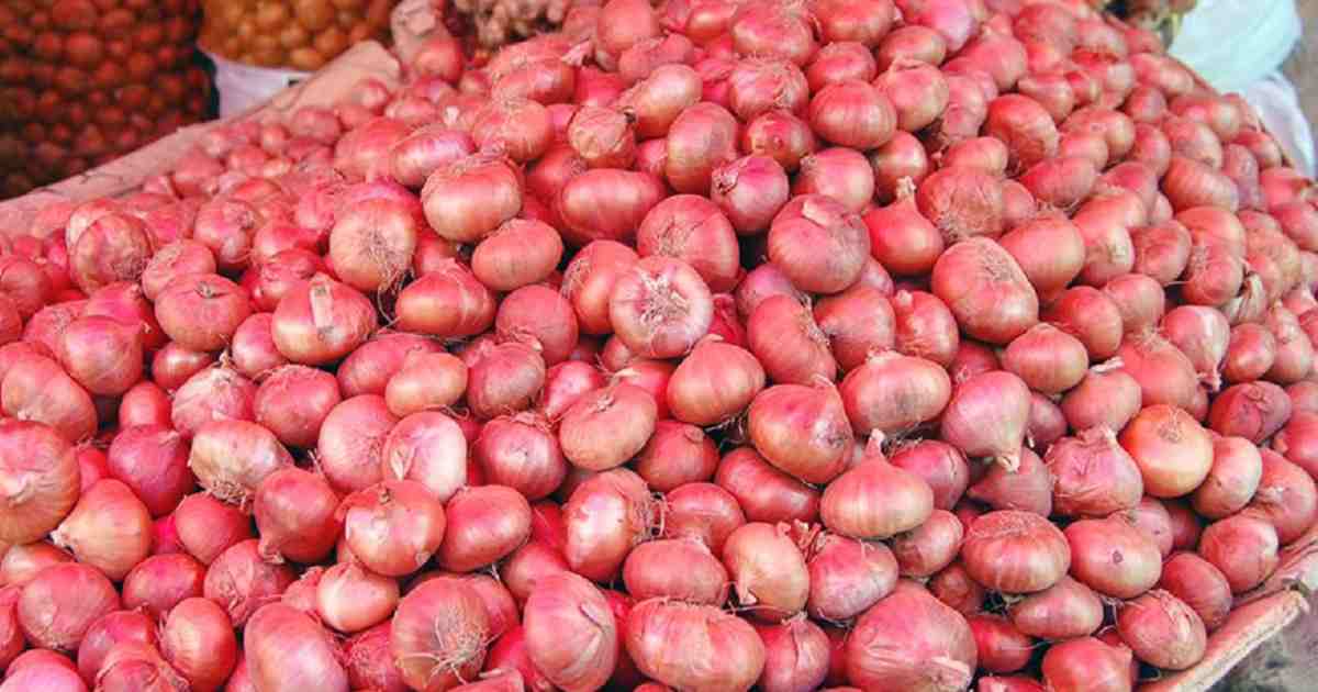 महाराष्ट्रातील कांदा खरेदीची मर्यादा 50 हजार मेट्रीक टनांपर्यंत वाढवावी