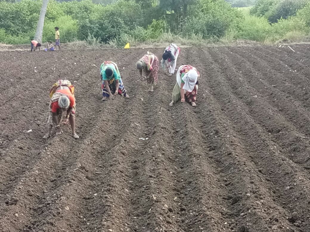कोरोनाचं ठिक…खरीपाचं काय?