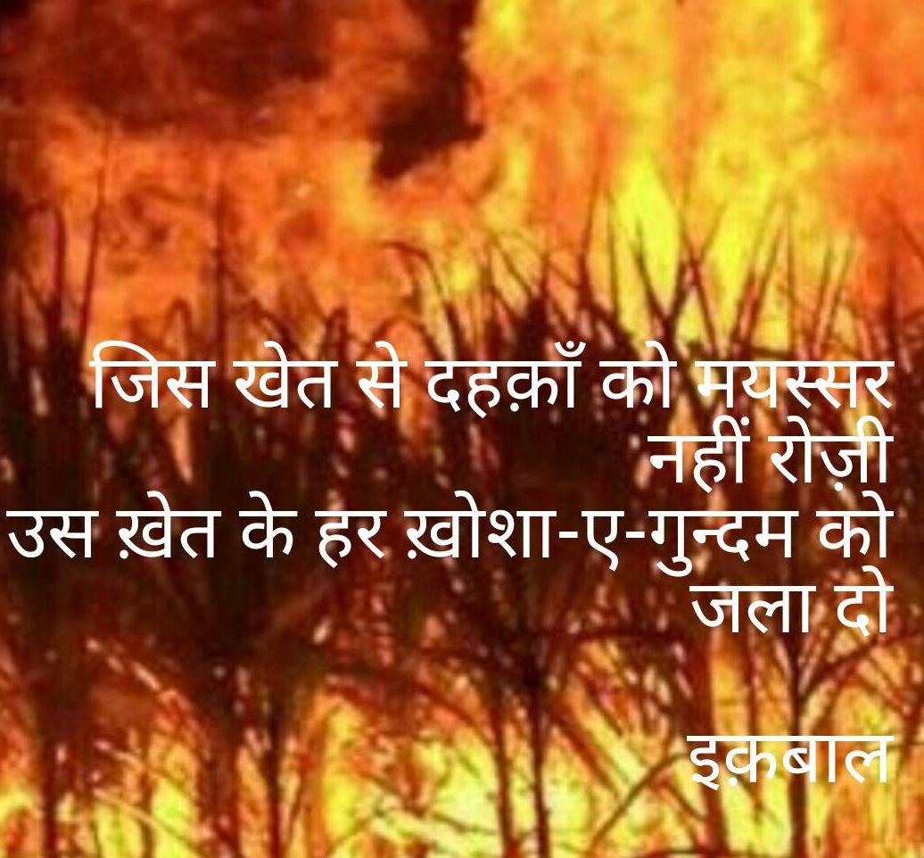 ऊस खेत के हर खोशा-ए-गंदुम को जला दो….