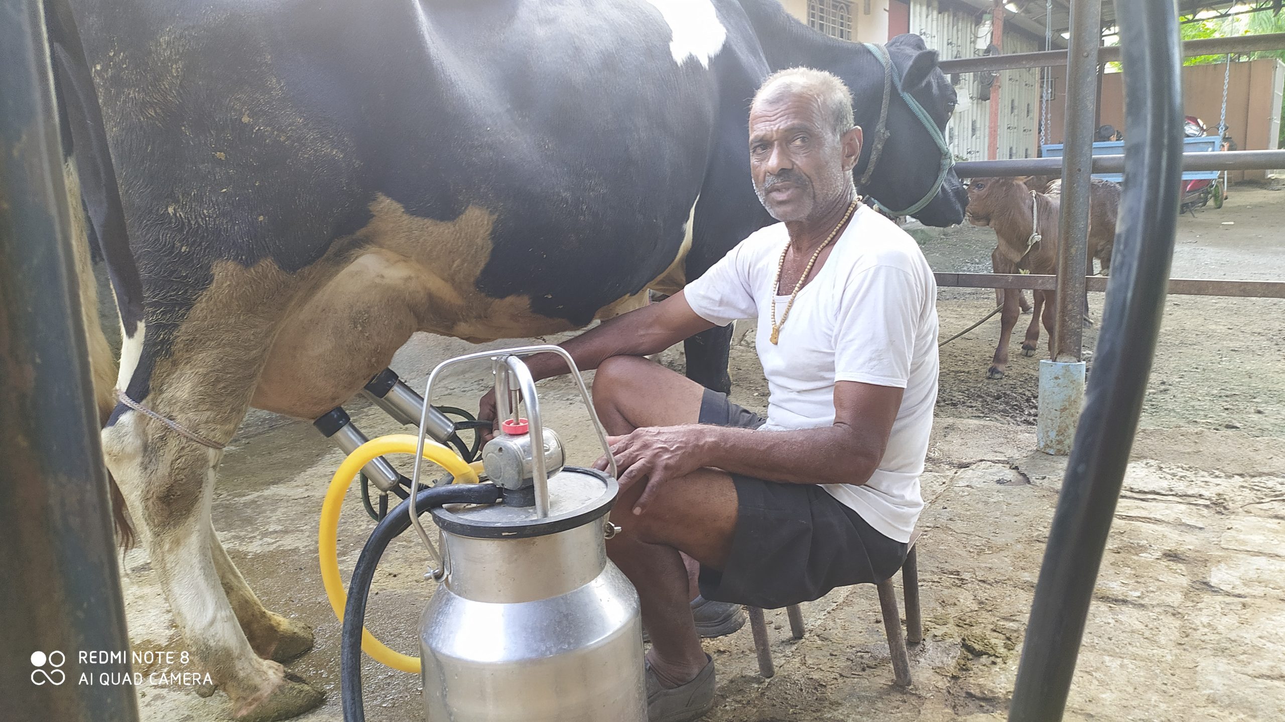 हा फक्त गोठा नाही, हे आहे हाडाच्या शेतकऱ्याचं स्वसंशोधनाचं विद्यापीठ…!!