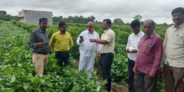 आता नको तलाठी.. बळीराजाच नोंदवेल, त्याच्या पीकपाण्याची नोंद सातबाऱ्याच्या ललाटी..!
