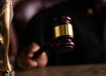 person holding a gavel