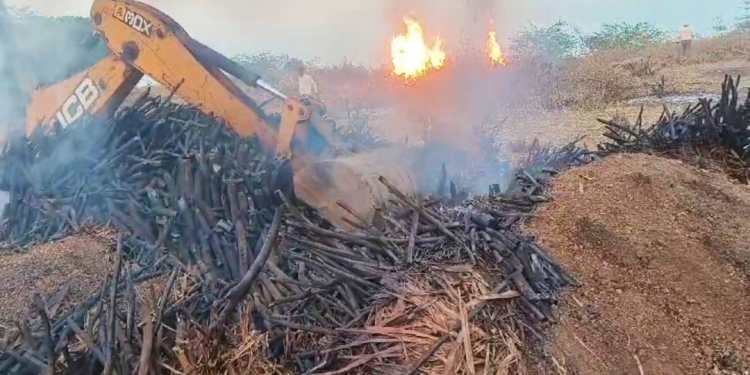 महान्यूजचा दणका! अखेर बेकायदा कोळसा तस्करांवर कारवाईला सुरुवात! वन विभागाकडून पाच कोळसा भट्ट्या उध्वस्त!