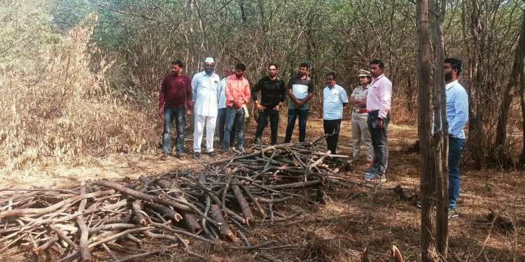 ‘महान्यूज’ इफेक्ट! अखेर दौंडचा वनपाल रवींद्र मगर आणि वनरक्षक किरण कदम दोघेही निलंबित! वन विभागाची शिस्तभंगाची कारवाई!