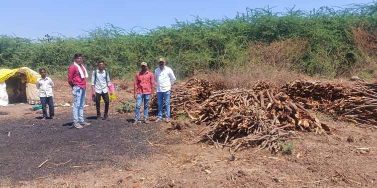 मलठण येथील बेकायदा कोळसा खाणीवर वनविभागाची कारवाई! एका खाणमालकावर गुन्हा दाखल!