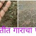 दुपारी गारा पडू लागल्या.. अन बारामतीकरांच्या अंगावर सर्रकन काटा आला.. दहा वर्षांपूर्वी झाले होते बरेच काही उध्वस्त..!