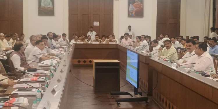पुणे जिल्हा नियोजन समितीच्या बैठकीत अजित पवारांनी खासदारांना सुनावले! नियमानुसार तुम्हाला बोलण्याचा इथे अधिकार नाही!