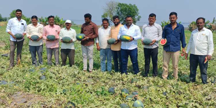दोन महिन्यात कलिंगडाने दिले पाच लाखांचे उत्पन्न! पळसदेव चा शेतकरी झाला लखपती!