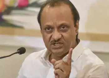 बारामतीत या मलिदा गँगने तर मला नको नको केलंय; एकतर पुढारपण करा, नाहीतर फक्त कॉन्ट्रॅक्टर बना!