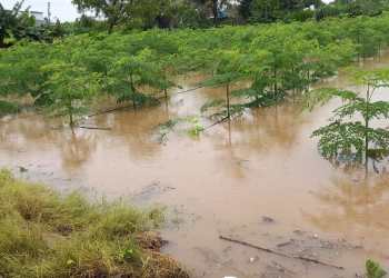 अतिवृष्टीवर सरकारची ‘मोठी मदत’ की निवडणुकीपूर्वीची मलमपट्टी?