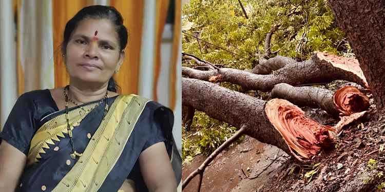 पुण्यात पावसाचा कहर; सिंहगड रोडवर झाड कोसळून फुलविक्रेत्या महिलेचा अंत!