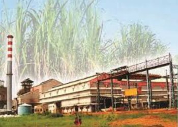 माळेगाव सहकारी साखर कारखान्याची ऊस उत्पादन वाढीसाठी महत्त्वपूर्ण कार्यशाळा!