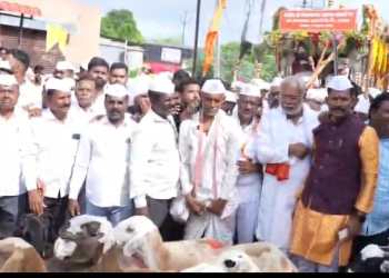 पिंपळीत संत सोपानकाका महाराज पालखीचे मेंढ्यांच्या भव्य रिंगणाने स्वागत; परिसर भक्तिमय